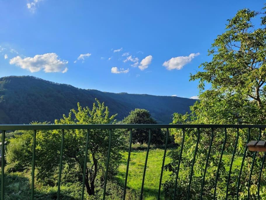 Willi'S Moselschloesschen Villa Neumagen-Dhron Kültér fotó